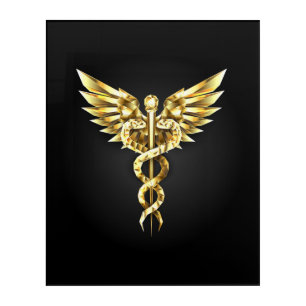 Gold Polygonal Symbol Caduceus Acrylic Print