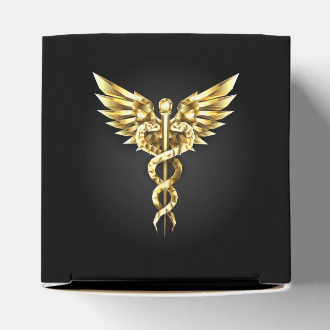 Gold Polygonal Symbol Caduceus Favor Boxes (Top)