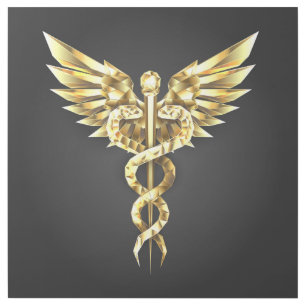 Gold Polygonal Symbol Caduceus Gallery Wrap