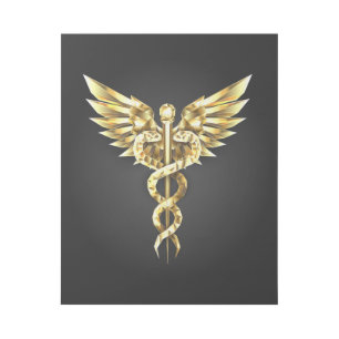 Gold Polygonal Symbol Caduceus Gallery Wrap