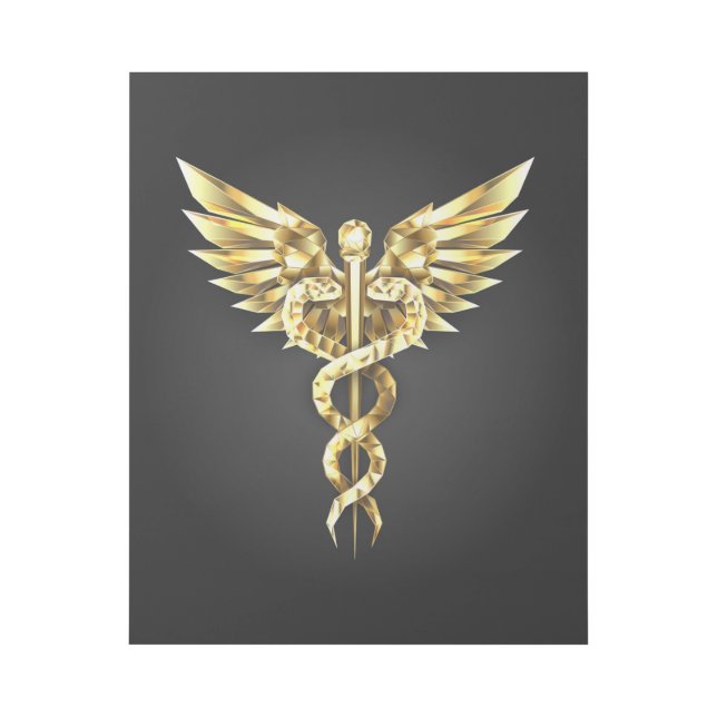 Gold Polygonal Symbol Caduceus Gallery Wrap (Front)