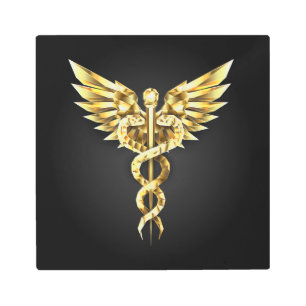 Gold Polygonal Symbol Caduceus Metal Print