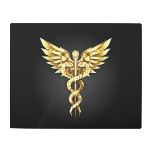 Gold Polygonal Symbol Caduceus Metal Print
