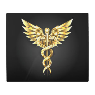 Gold Polygonal Symbol Caduceus Metal Print