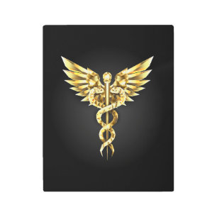 Gold Polygonal Symbol Caduceus Metal Print