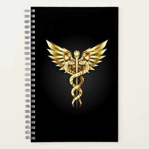 Gold Polygonal Symbol Caduceus Notebook
