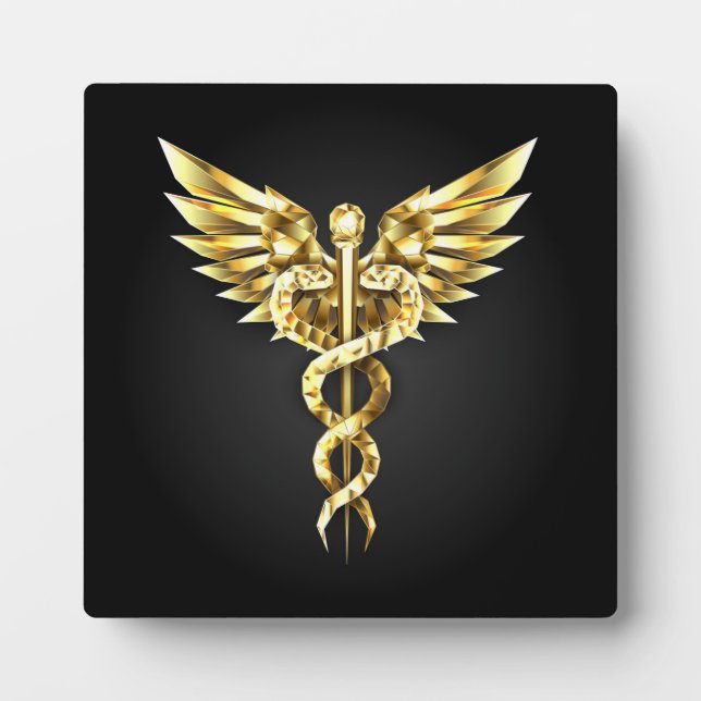 Gold Polygonal Symbol Caduceus Plaque (Front)