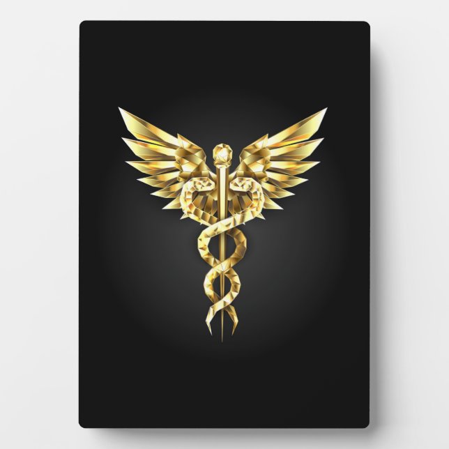 Gold Polygonal Symbol Caduceus Plaque (Front)