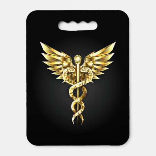 Gold Polygonal Symbol Caduceus Seat Cushion