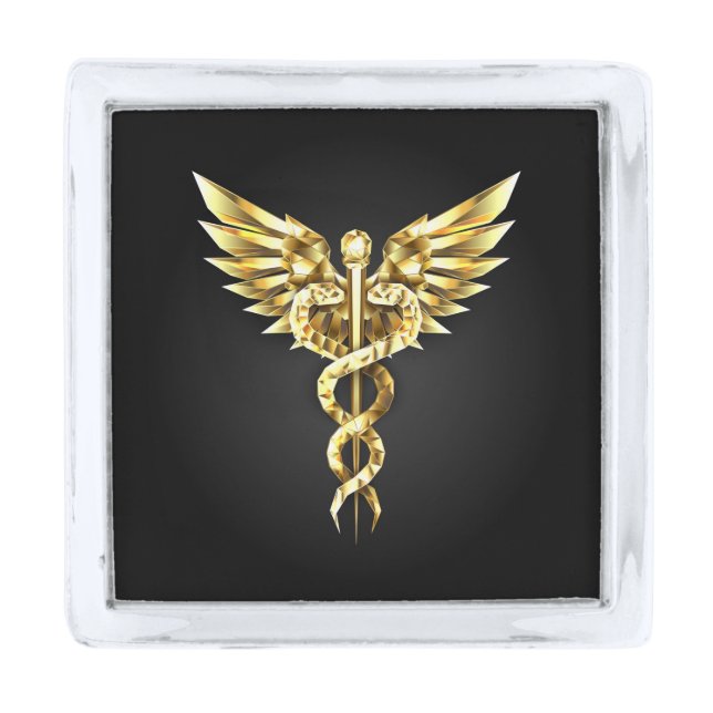 Gold Polygonal Symbol Caduceus Silver Finish Lapel Pin (Front)