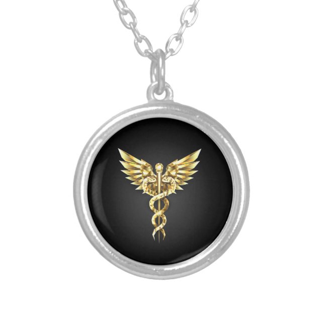 Gold Polygonal Symbol Caduceus Silver Plated Necklace (Front)