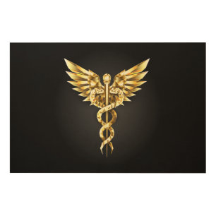 Gold Polygonal Symbol Caduceus Wood Wall Art