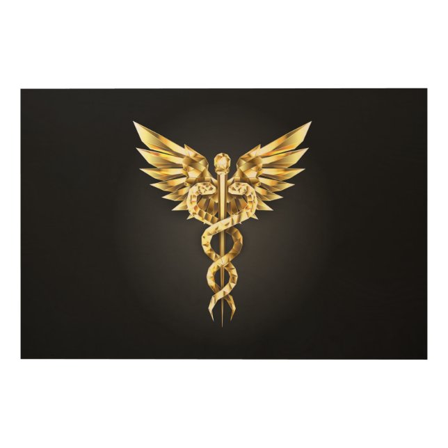Gold Polygonal Symbol Caduceus Wood Wall Art (Front)