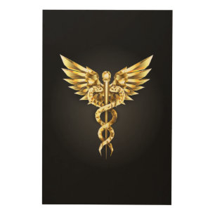 Gold Polygonal Symbol Caduceus Wood Wall Art