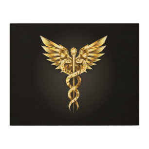 Gold Polygonal Symbol Caduceus Wood Wall Art