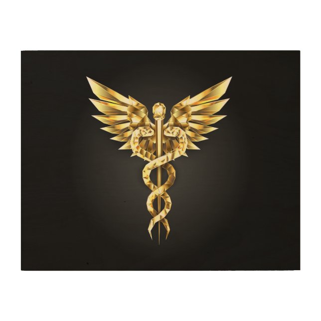 Gold Polygonal Symbol Caduceus Wood Wall Art (Front)