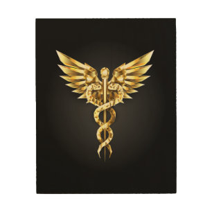 Gold Polygonal Symbol Caduceus Wood Wall Art