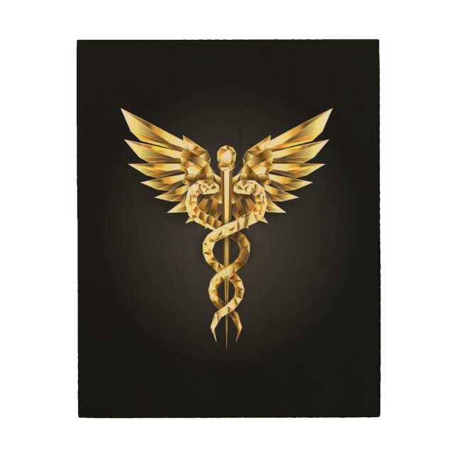 Gold Polygonal Symbol Caduceus Wood Wall Art (Front)