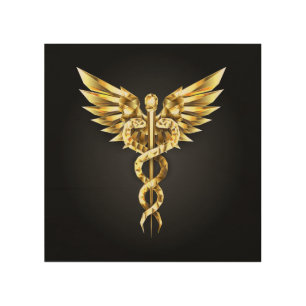 Gold Polygonal Symbol Caduceus Wood Wall Art