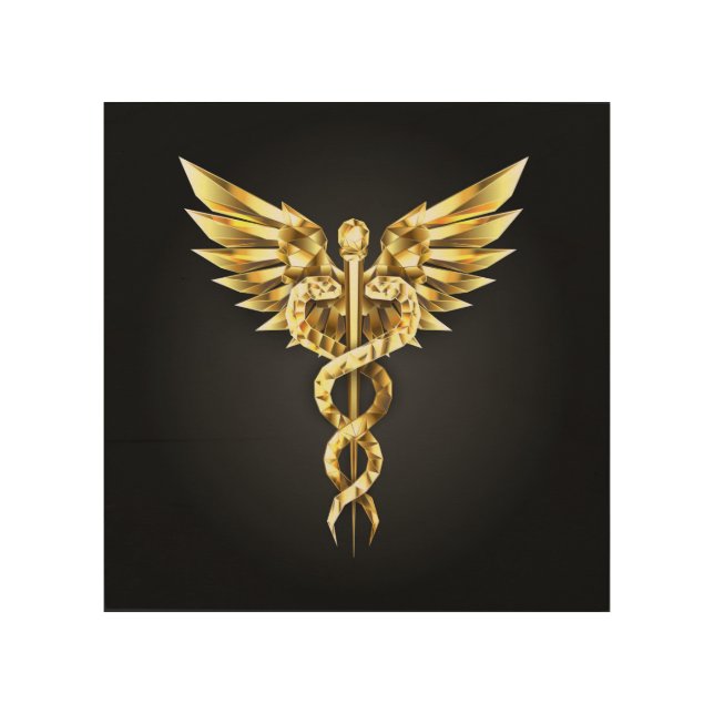 Gold Polygonal Symbol Caduceus Wood Wall Art (Front)
