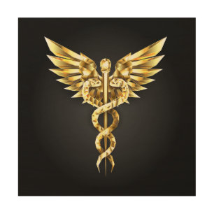 Gold Polygonal Symbol Caduceus Wood Wall Art