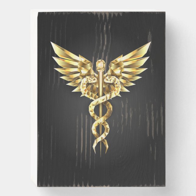 Gold Polygonal Symbol Caduceus Wooden Box Sign (Front Vertical)