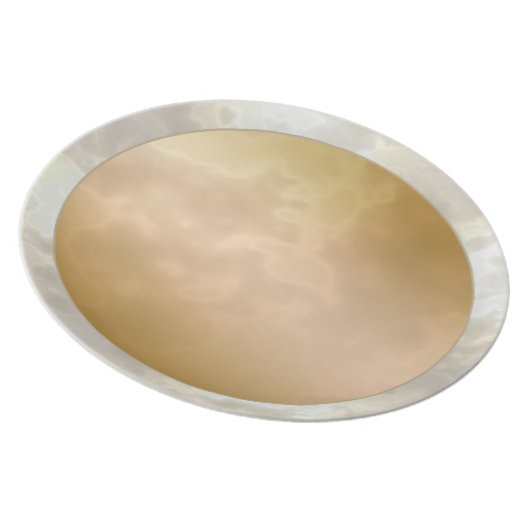 Gold Rose Silver Marbled Melamine Plate (Right Side)