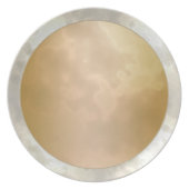 Gold Rose Silver Marbled Melamine Plate (Front)