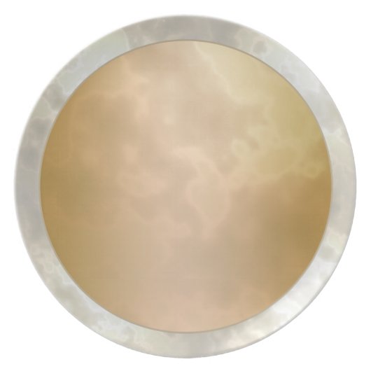 Gold Rose Silver Marbled Melamine Plate (Front)