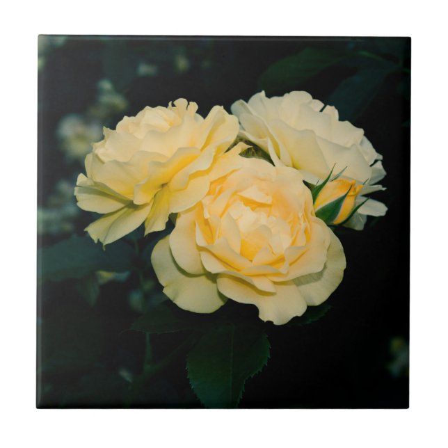 Gold Roses Garden Ceramic Tile (Front)