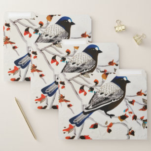 Gold Rustic Snowflake Winter Bird File Folder