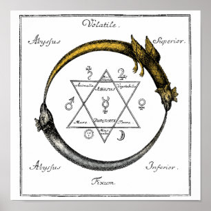 Gold & Silver Ouroboros Symbol Poster