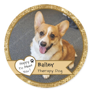 Gold Sparkle Therapy Dog Visit Custom Classic Round Sticker