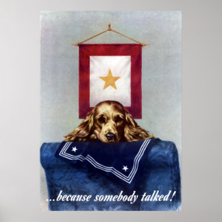 Gold Star Banner -- Because Somebody Talked Poster