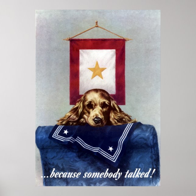 Gold Star Banner -- Because Somebody Talked Poster (Front)