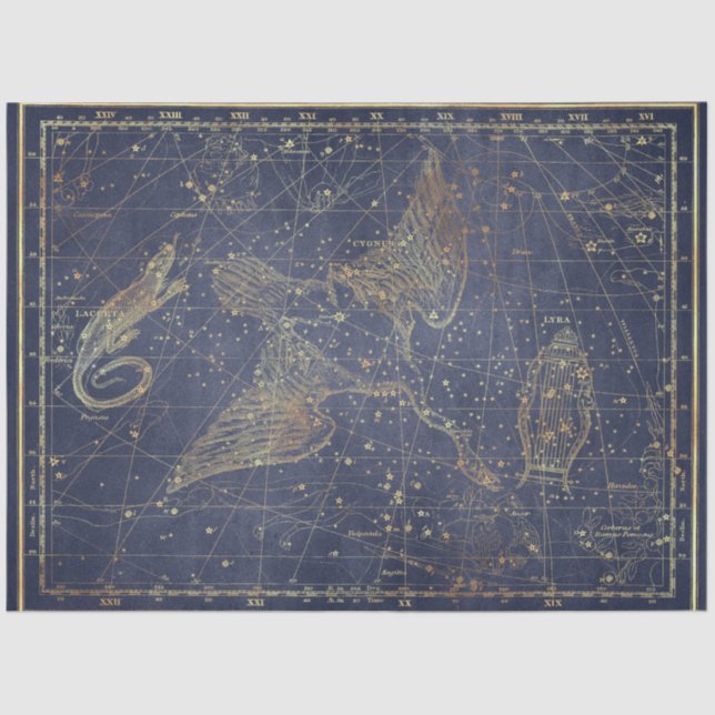 Gold Star Map Series Design 10 Tissue Paper (Front)