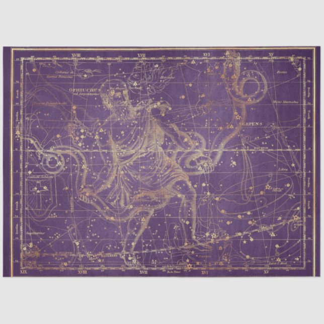 Gold Star Map Series Design 12 Tissue Paper (Front)