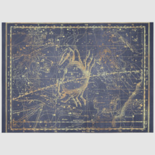 Gold Star Map Series Design 15 Tissue Paper