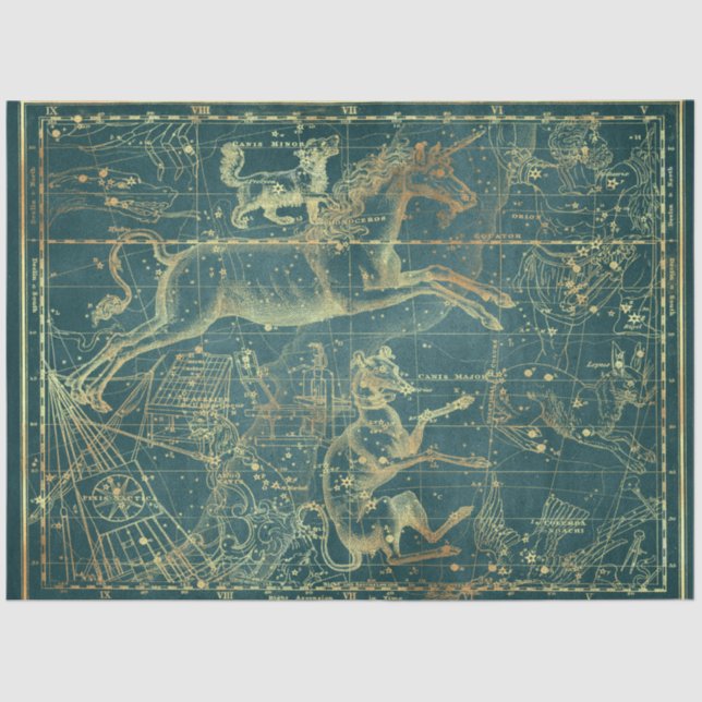 Gold Star Map Series Design 28 Tissue Paper (Front)