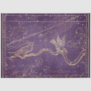 Gold Star Map Series Design 2 Tissue Paper