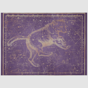 Gold Star Map Series Design 7 Tissue Paper