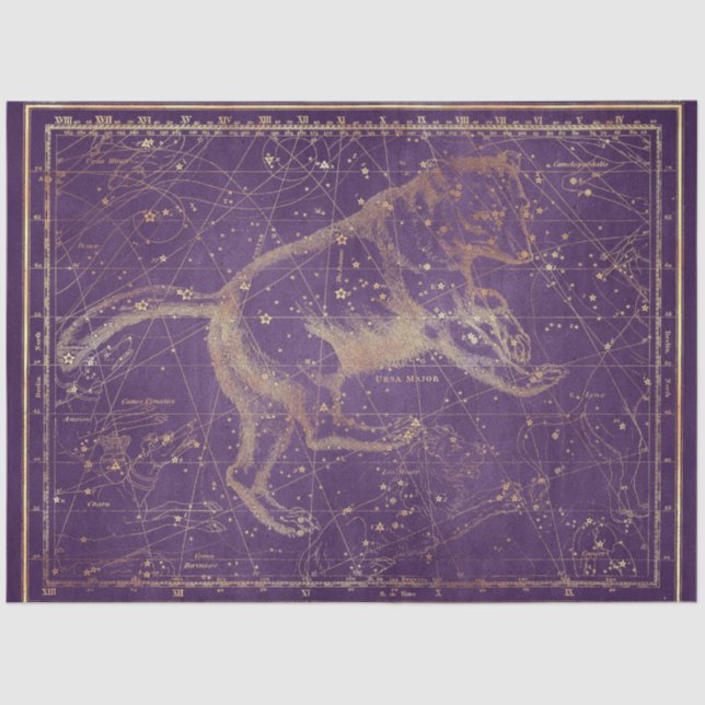 Gold Star Map Series Design 7 Tissue Paper (Front)