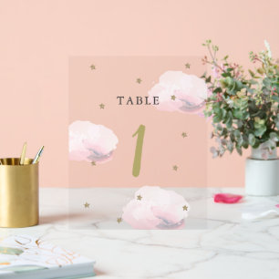 Gold Star & Pink Cloud Baby Shower Table Number Acrylic Sign