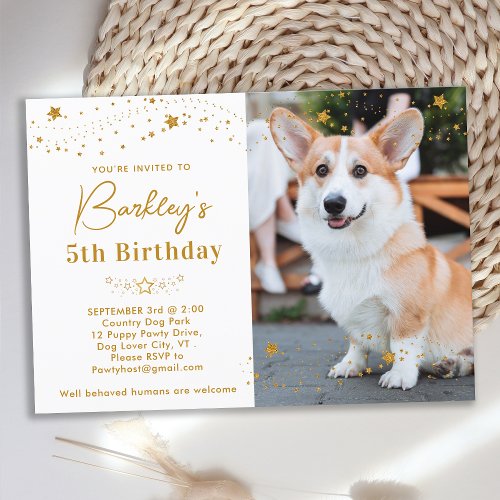 Gold Stars Birthday Personalized Pet Photo Dog Invitation