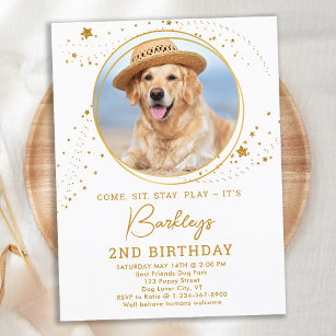 Gold Stars Dog Birthday Personalized Pet Photo  Invitation Postcard