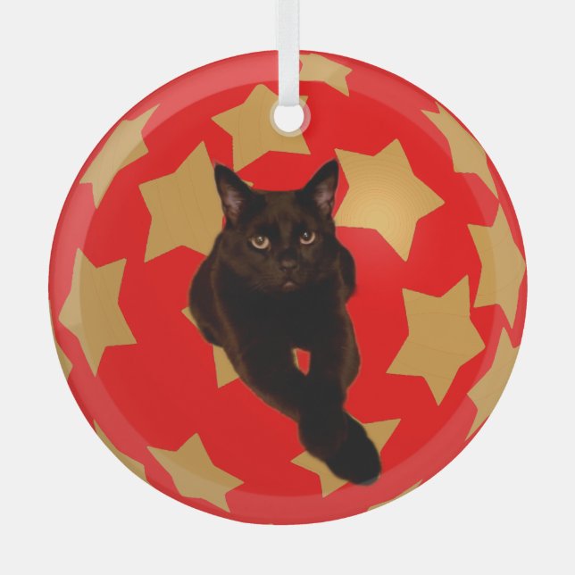 Gold Stars on Red with Black Cat's Photo Glass Ornament (Front)