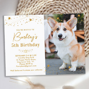 Gold Stars Personalized Pet Photo Dog Birthday Invitation Postcard