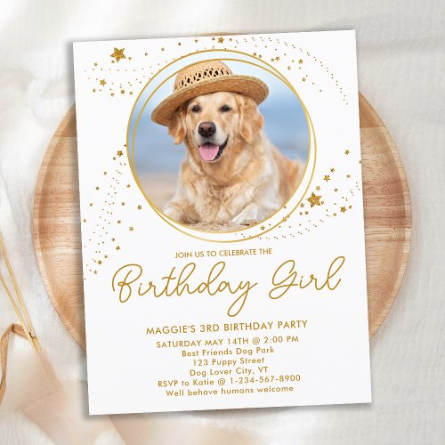 Gold Stars Personalized Pet Photo Dog Birthday  Invitation Postcard