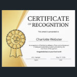 Gold Student Recognition Certificates Award<br><div class="desc">Celebrate your student’s success! Our Gold Student Recognition Certificates Certificate of Achievement PDF was crafted with these sentiments. Our Gold Student Recognition Certificates Certificate of Achievement PDF is customizable so that you can make this your own. The Gold Student Recognition Certificates Certificate of Achievement PDF is a terrific for students...</div>