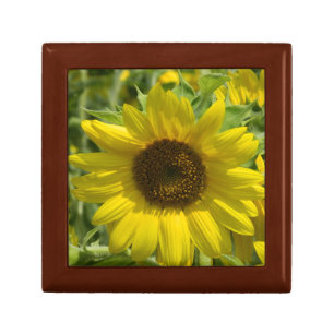 Gold Sunflower Premium Wood Gift Box